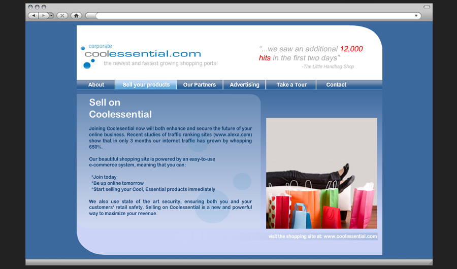 Corporate Flash Website - screen 2